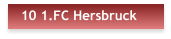 10 1.FC Hersbruck