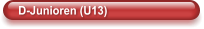 D-Junioren (U13)
